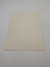 Tysk militær sportsdiplom fra 1940, Zerstörer Bruno Heinemann