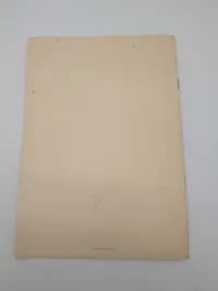 Danmarks Geopolitiske Stilling by Professor Gudmund Hatt, Softcover Booklet