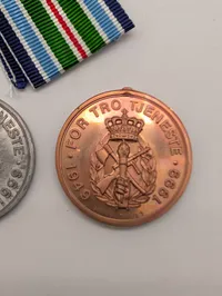 Danske Hjemmeværnets 50-års Jubilæumsmedaljer 1949-1999 PRØVE 