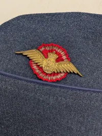 Dansk Flyvevåben Sidecap 