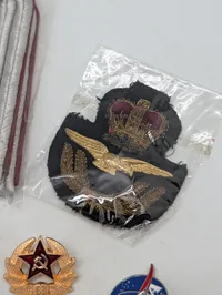 Samling af militære emblemer, knapper og mærker