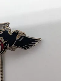 Originalt Dansk DNASAP ravnemærke, velholdt 