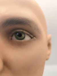 Realistisk mandlig mannequin-hoved i plast med øjne