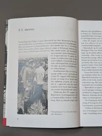 Collection of Five Danish World War II History Books