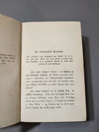 1895 A. M. Mangor Kogebog for smaa Husholdninger Cookbook