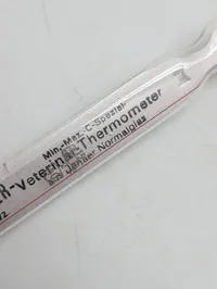 Hauptner Veterinær-Termometer i Jenaer Normalglas WW2 