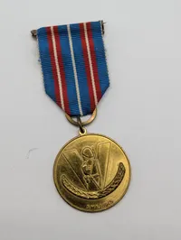 Danish Freedom Brigade Medal 5 Maj 1945